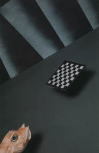 sup_3g050_0002862