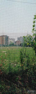 imm_MI160_0017367