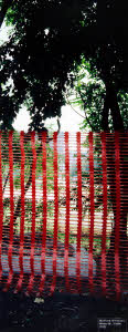 imm_MI160_0017369