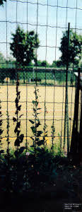 imm_MI160_0017370