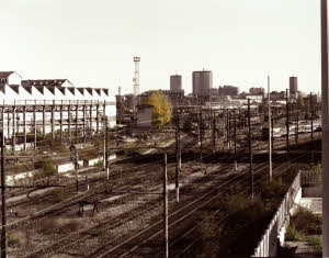 imm_MI160_0017482
