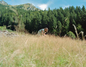sup_3g050_0003048